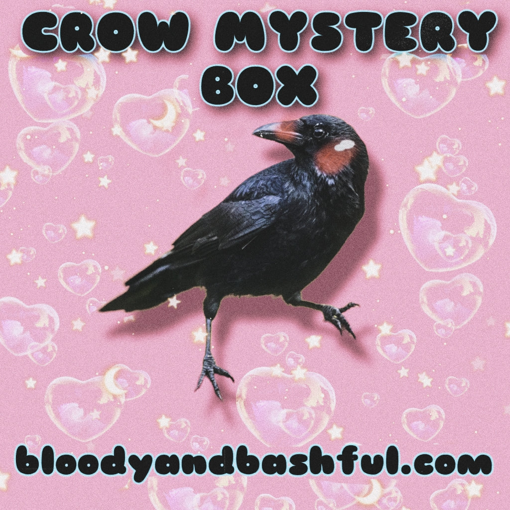 CROW MYSTERY BOX (STANDARD SIZE) – Bloody & Bashful