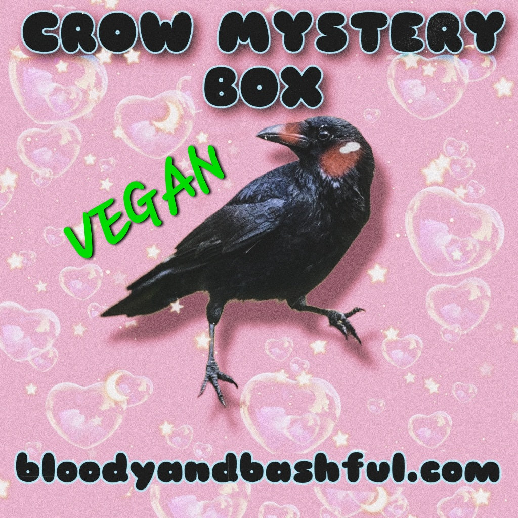 💗VEGAN CROW MYSTERY BOX💗